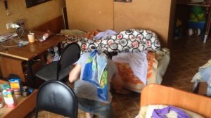 Как травить тараканов, клопов, моль, мух в общаге