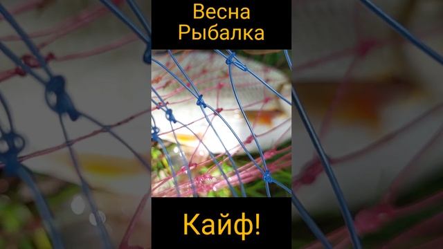 Рыбалка, весна, кайф!