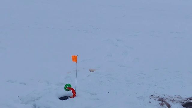 Султанкельды...щуки лезут из лунок сами, даже хвостом вперед)))) смотреть онлайн