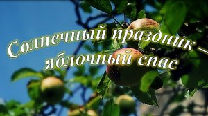«Солнечный праздник – Яблочный Спас». Мини-информина.mp4
