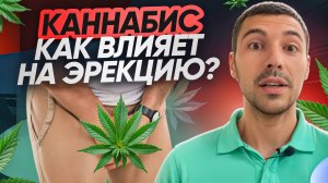 Как каннабис влияет на мужскую эрекцию