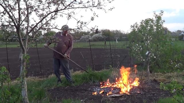 Костер.На грядке. смотреть онлайн