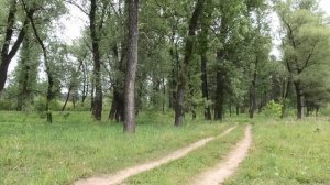 Река Бердь. Село Усть-Чём, Искитимский район Новосибирской Области. Западная Сибирь, 5 июня 2022 год