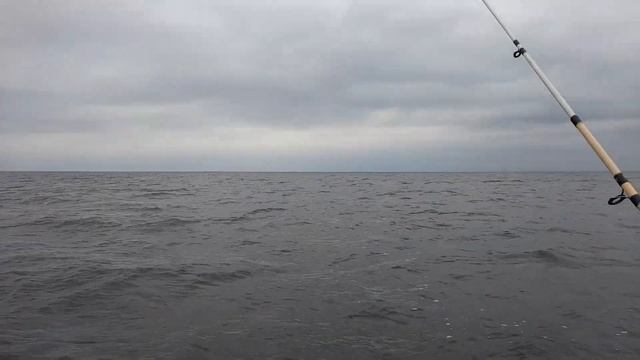 Рыбалка на Финском заливе. Отчёт за 08.10.2021. ЮБРЛС. смотреть онлайн