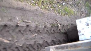 Мотоблок с прицепом по бездорожью, нет помех!