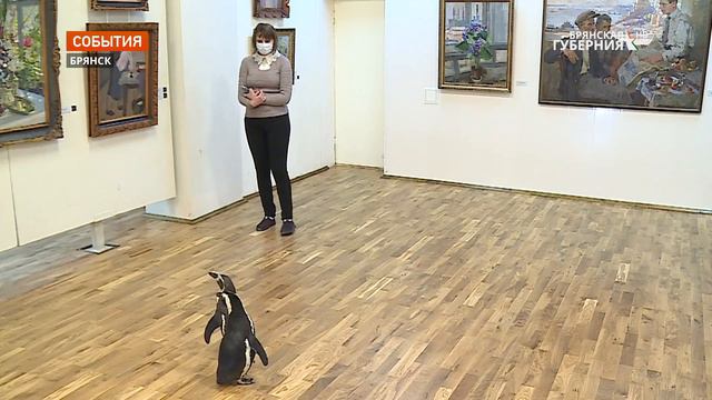 Пингвины Ца-Ца и Люба посетили Брянский областной художественный музей смотреть онлайн