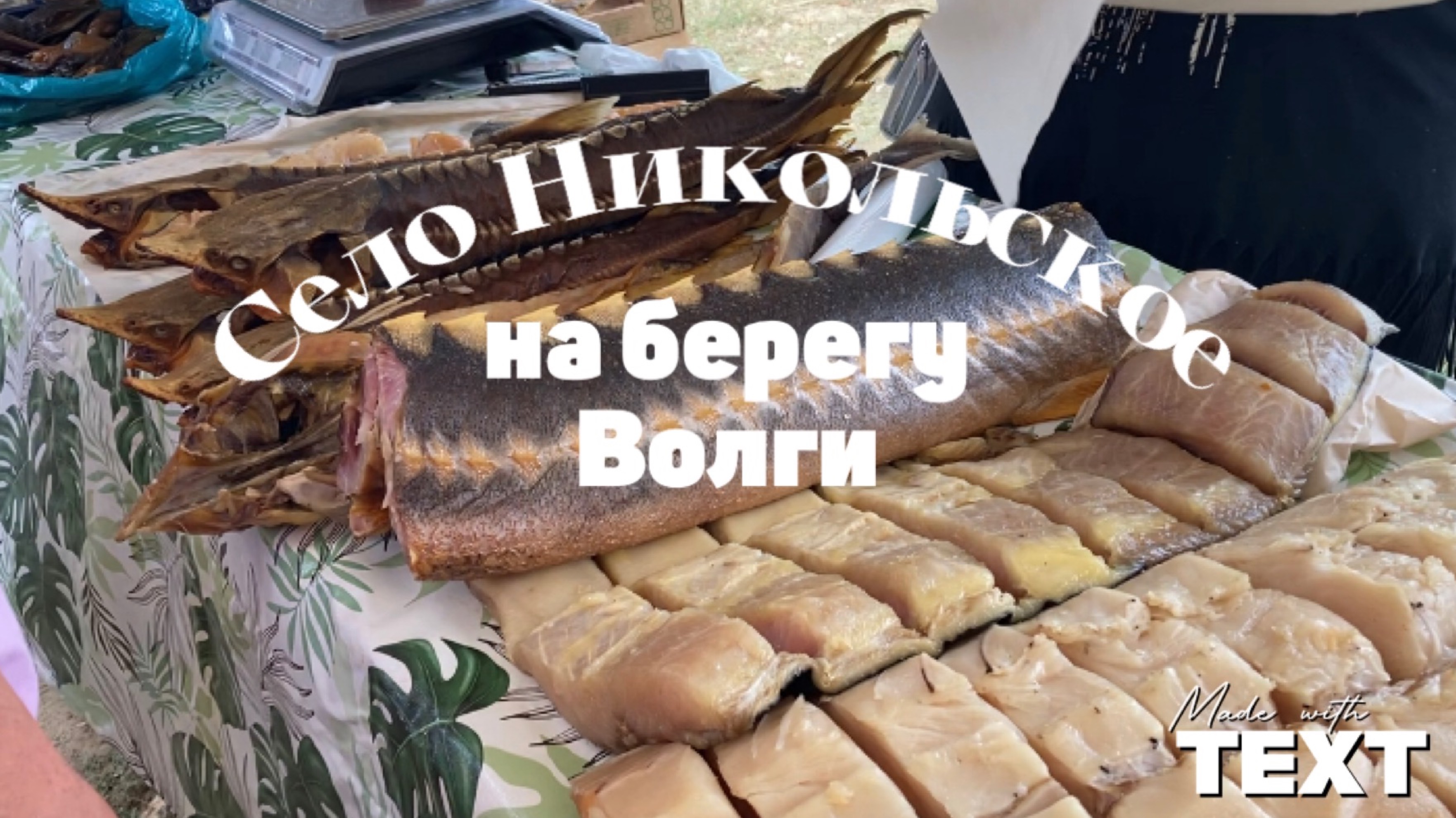 Село Никольское на берегу Волги