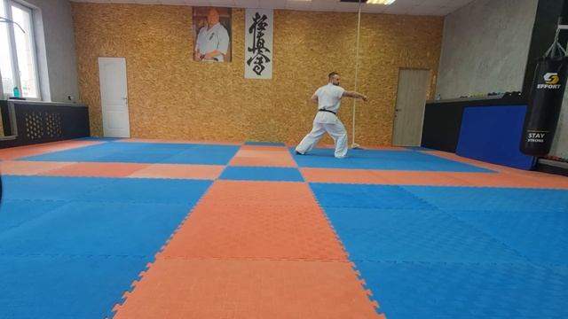 Тайкиоку соно ич; 1 ката руками; краткий разбор. смотреть онлайн