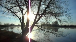 Фидер, рыбалка на нижней Москве-реке.