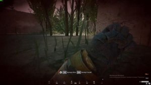 Гайд на медика в Squad