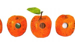 «Очень голодная гусеница». Эрик Карл