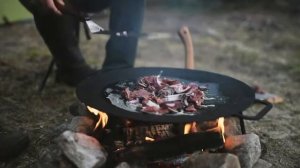 Коллекция 2020 Alaska Elk 1795