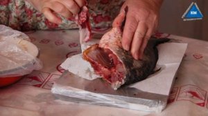 Как правильно потрошить живую рыбу, как  разделать живую рыбу