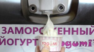 Замороженный йогурт франчайзинг YOGUMI