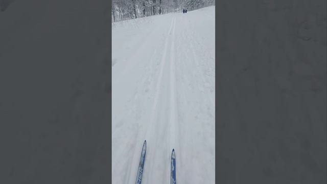 2 января 2024г., ватрушка, лыжи, бублик, горка,Новокузнецк