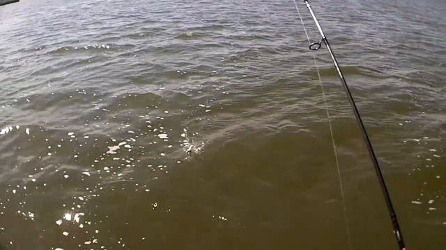 Отличная рыбалка на хищника смотреть онлайн