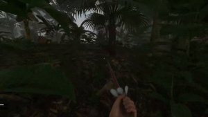 Green Hell ● Прохождение сюжета  ● Где найти аэродром и рацию?