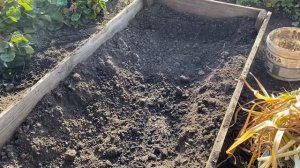 Подготовка грядки под огурцы с осени. Посадка озимого чеснока.