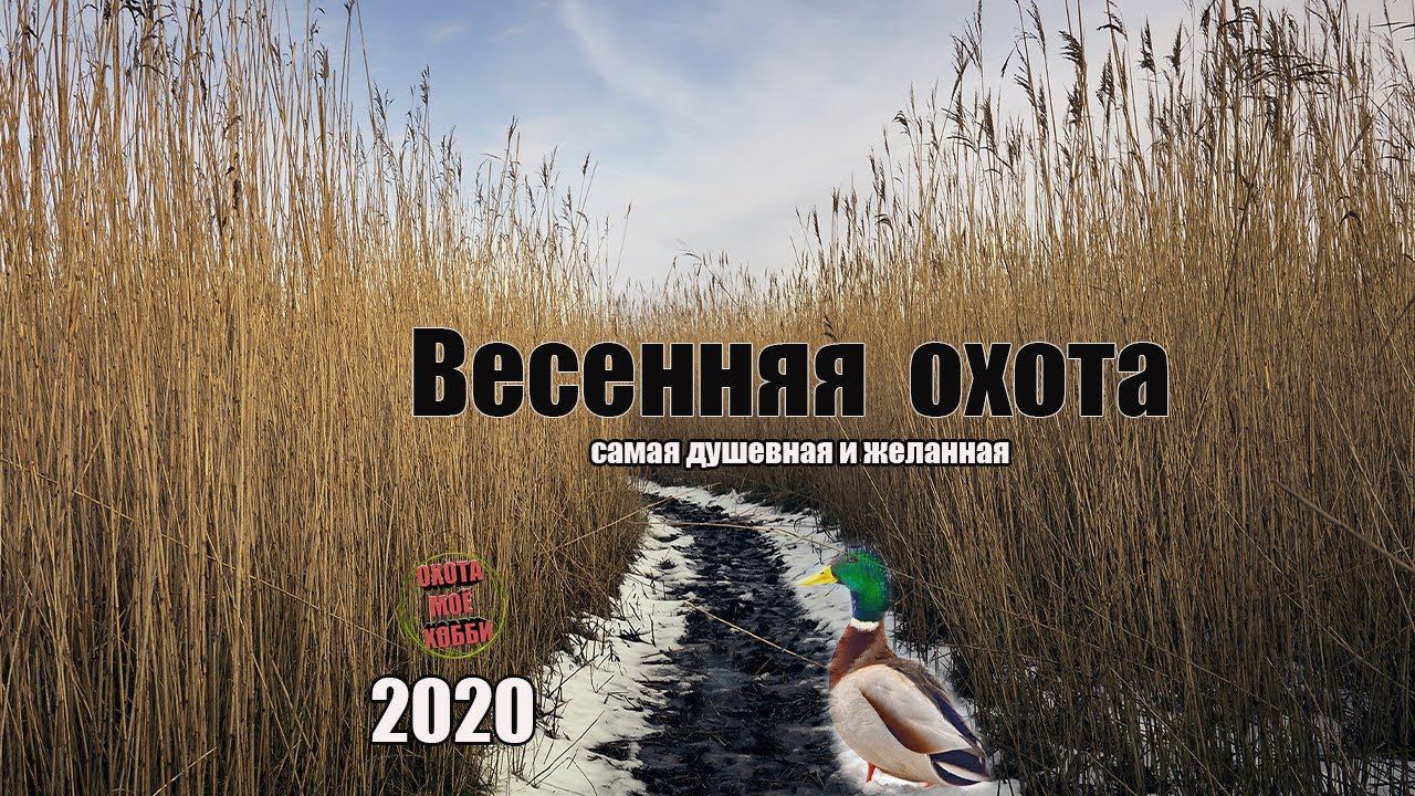 ОХОТА ЗА СЕЛЕЗНЕМ. В КАРАНТИНЕ! смотреть онлайн