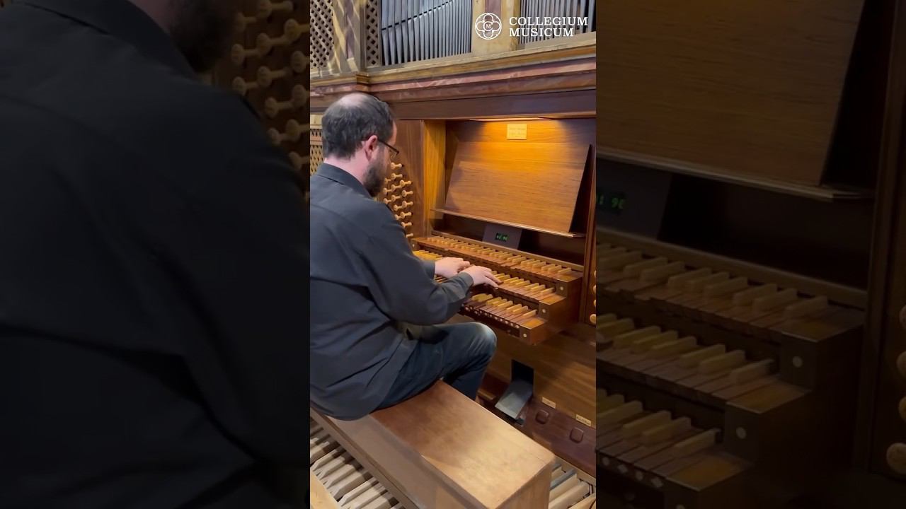 Фрагмент И. С. Бах. Токката и фуга ре минор. Исполняет Даниэль Сальвадор. смотреть онлайн