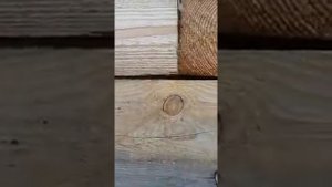 Урок 2. Для внука. Как правильно положить брус или бревно на...