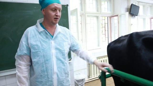 Ветеринария и жизнь