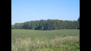 Велопоездка: Станция Шемякино - село Троицкое (Калужская область)