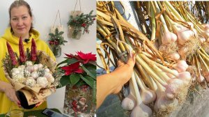 Аня, куда ты деваешь столько чеснока? 500 головок - мой средний урожай, его необычное употребление!