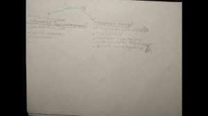 Физиология для любимых одногруппников. Лимбическая система