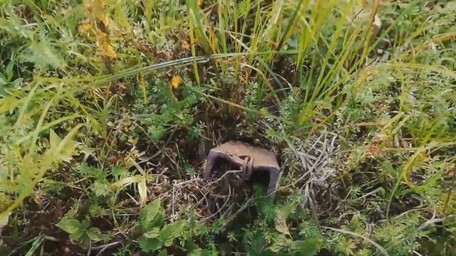 ВЛОГ / ВОСПОМИНАНИЯ ИЗ ПРОШЛОГО... смотреть онлайн