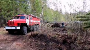 МЧС: лесопожарная обстановка стабилизирована