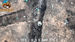 Прямое попадание в Тараса FPV дроном