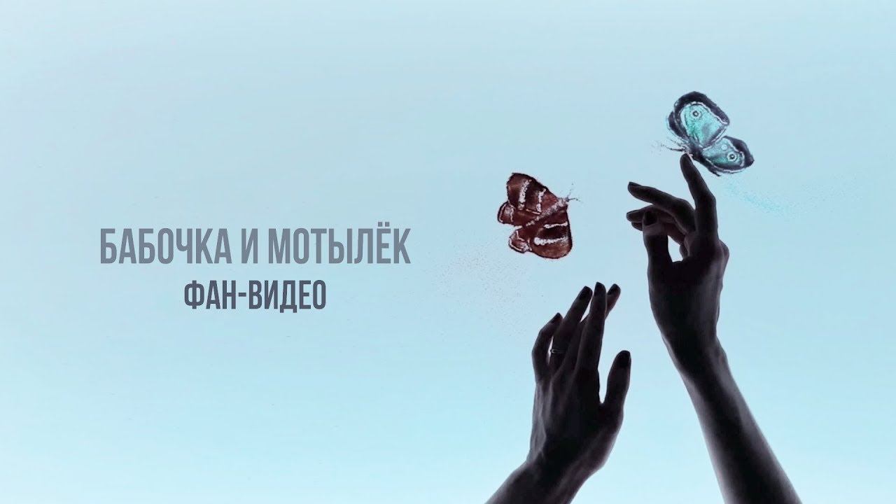 Im butterfly песня. Душа как бабочка. Песня бабочки. Мотылек песня.