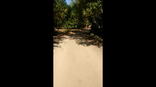 Обзор База Лес и Рыба, Харабали, Астраханская область