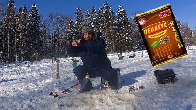 Платный пруд Клевое место. Ловля форели, платная рыбалка 2018 смотреть онлайн