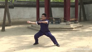 Полная 19 форма  Чэньши . Пошаговое обучение-Лю Хэнъюань. 1080 HD