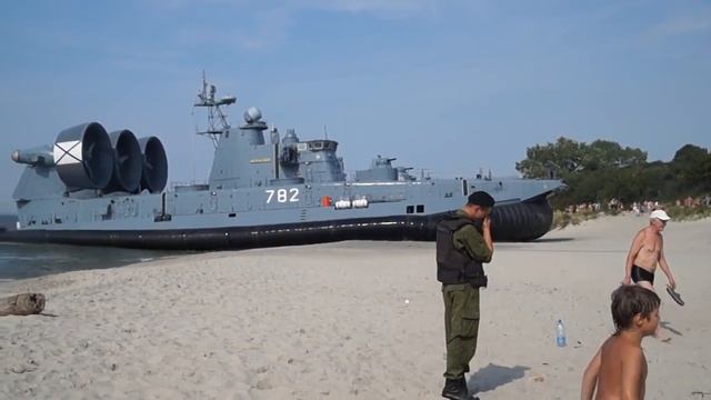 Зубр на пляже смотреть онлайн