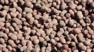 Производства декоративного керамзита из сапропелита