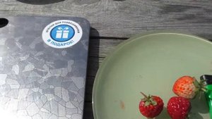 Сорт Мице-Шиндлер обзор ягод клубники