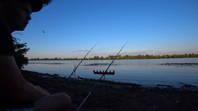 Ловля крупных лещей на Днепре в Киеве.Рыбалка Фидер. смотреть онлайн