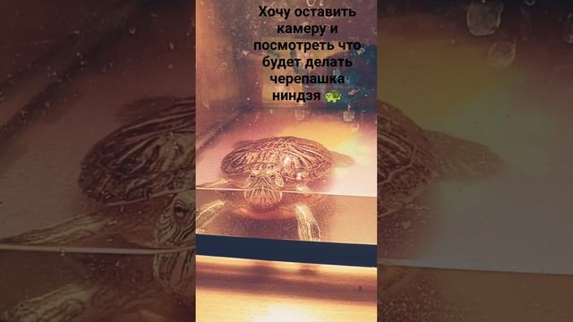 ну я думала она что нибудь будет делать она минуту стояла почти не подвижно