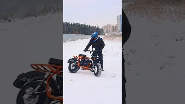 Скаут сафари 3 смотреть онлайн