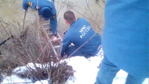 Спасение собаки из ледяной воды (МЧС)