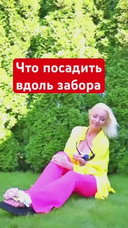 ТОП-3 кустов чтобы посадить ВДОЛЬ ЗАБОРА