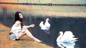 УПАЛА ПТИЦА В КАМЫШИ АВФ