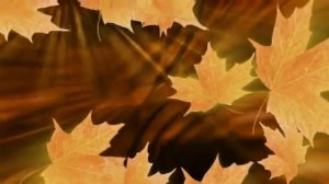 Листик клена