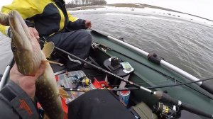 Ловля щуки троллингом.Открытие весеннего Сезона.Река Псёл.Воблер Salmo Perch 8.#Рыбалка
