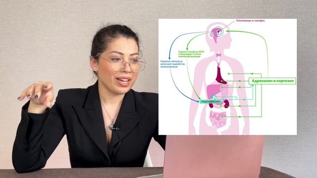 Урок 2. Почему ты реагируешь именно ТАК? Гормональная обусловленность реакций. Программа "Чистилище смотреть онлайн