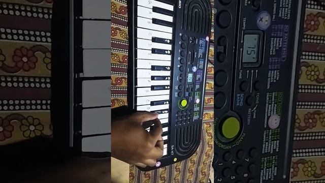 Harry Porter music on casio sa-47