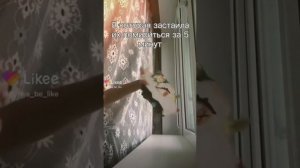 Драконы на руку из лайка ? ищите себя ??♀️